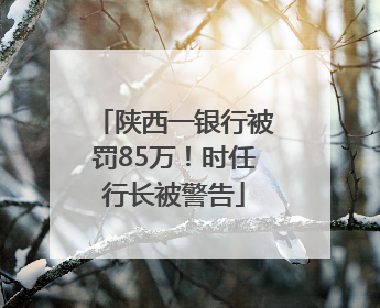 陕西一银行被罚85万！时任行长被警告
